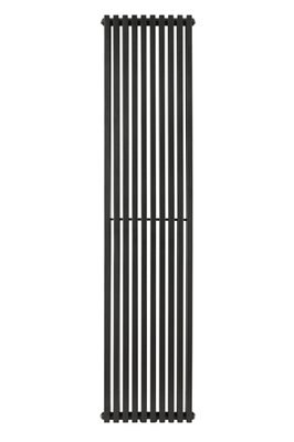 Вертикальний радіатор Praktikum 2 H-1600 мм, L-349 мм Betatherm PV 2160/09 9005M 99 фото